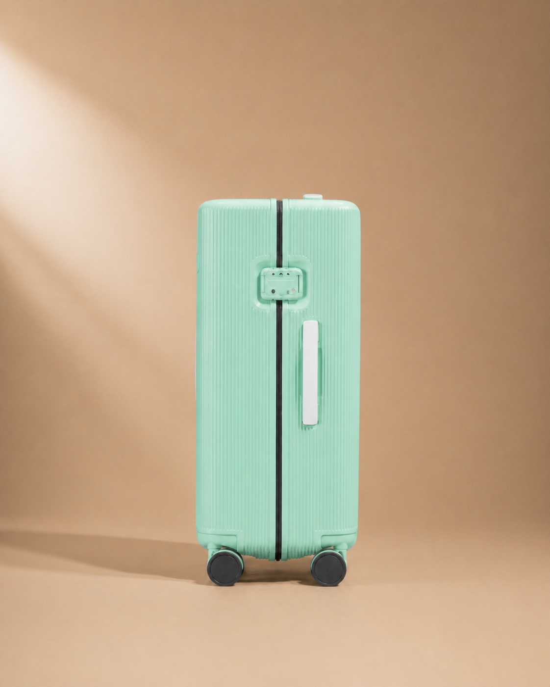 Lynton Hard Shell Cabin Suitcase - 20-30 Inch - rear view